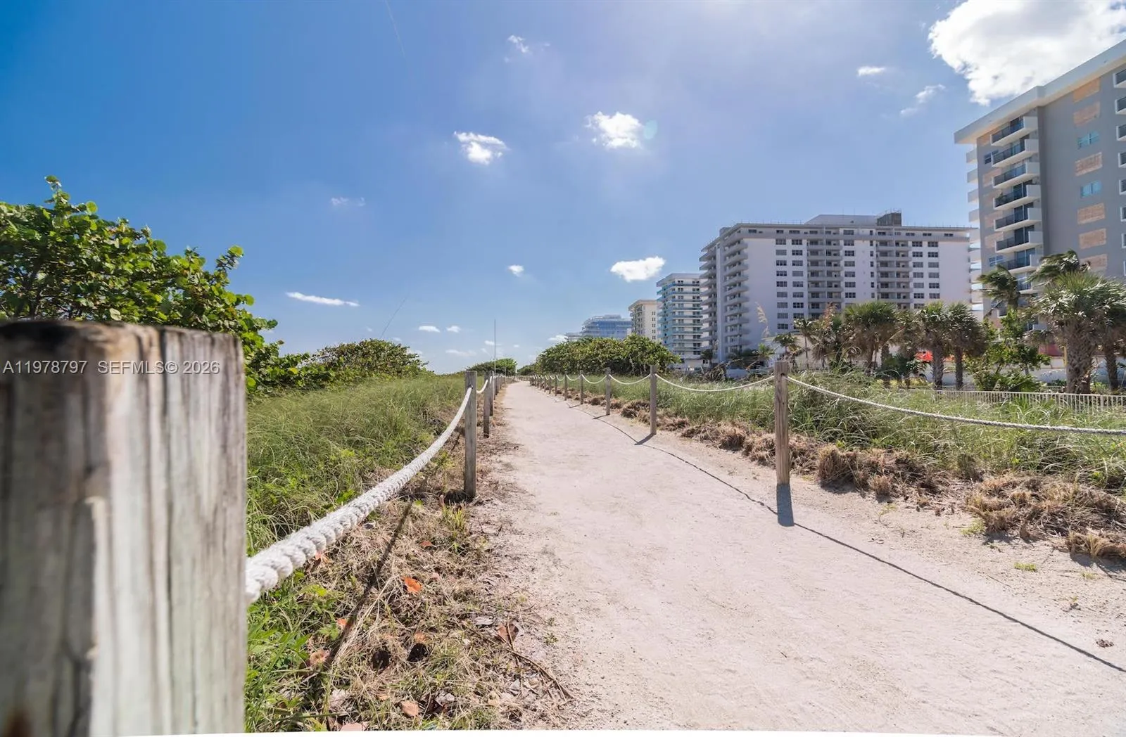 9195 Collins Ave 711, Surfside, Florida 33154, Surfside, Florida 33154, 1 Bedroom Bedrooms, ,1 BathroomBathrooms,Residential Lease,For Rent,9195 Collins Ave 711, Surfside, Florida 33154,A11978797