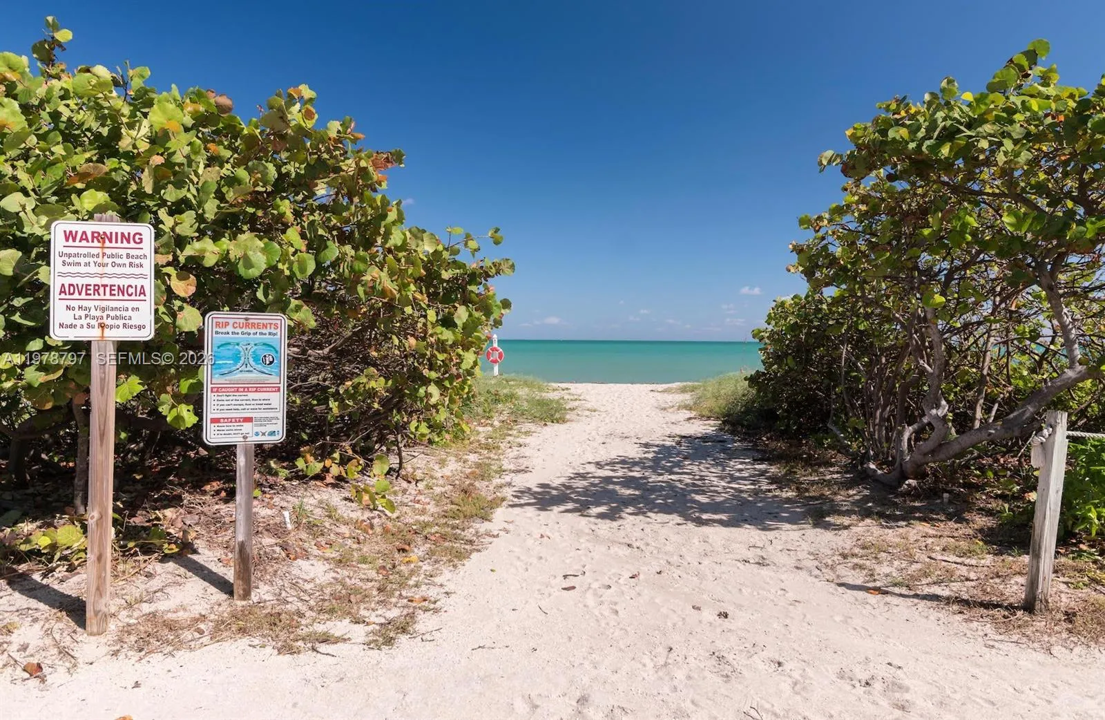 9195 Collins Ave 711, Surfside, Florida 33154, Surfside, Florida 33154, 1 Bedroom Bedrooms, ,1 BathroomBathrooms,Residential Lease,For Rent,9195 Collins Ave 711, Surfside, Florida 33154,A11978797