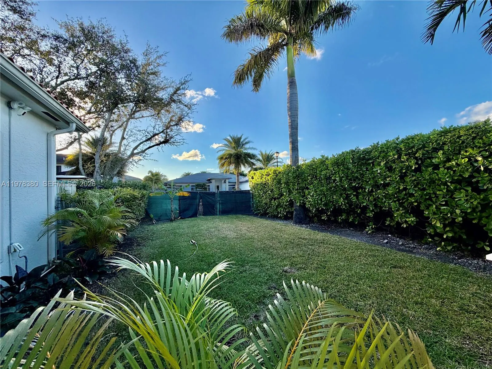 Rear yard accessible by a double gate. Space for a boat/RV