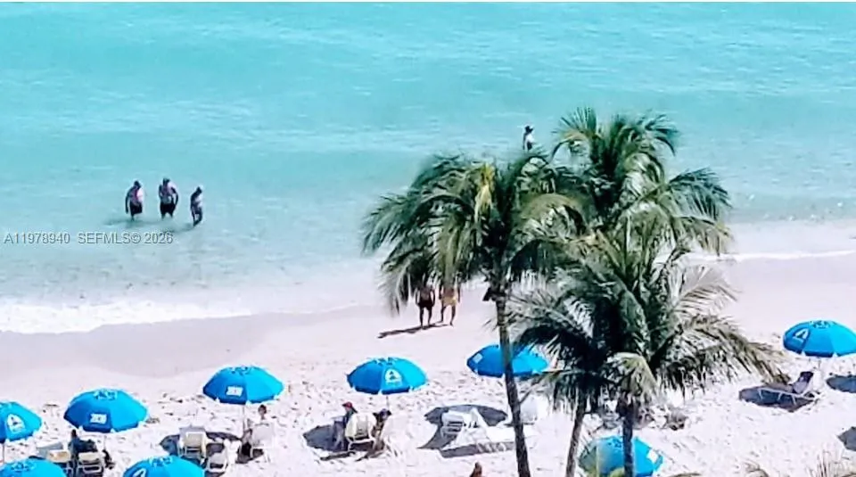 BEACHFRONT LIVING AND SERVICES