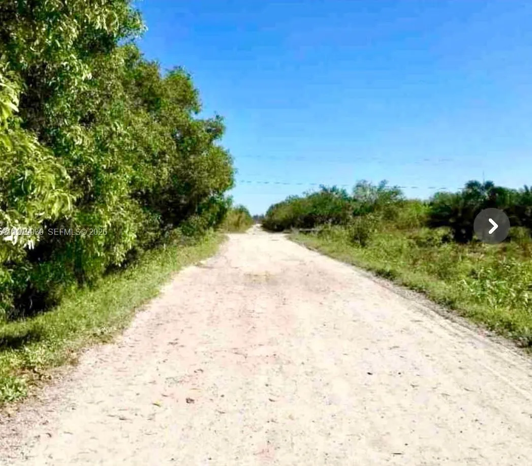 312 Th St, Homestead, Florida 33033, Homestead, Florida 33033, ,Land,For Sale,312 Th St, Homestead, Florida 33033,A11979039