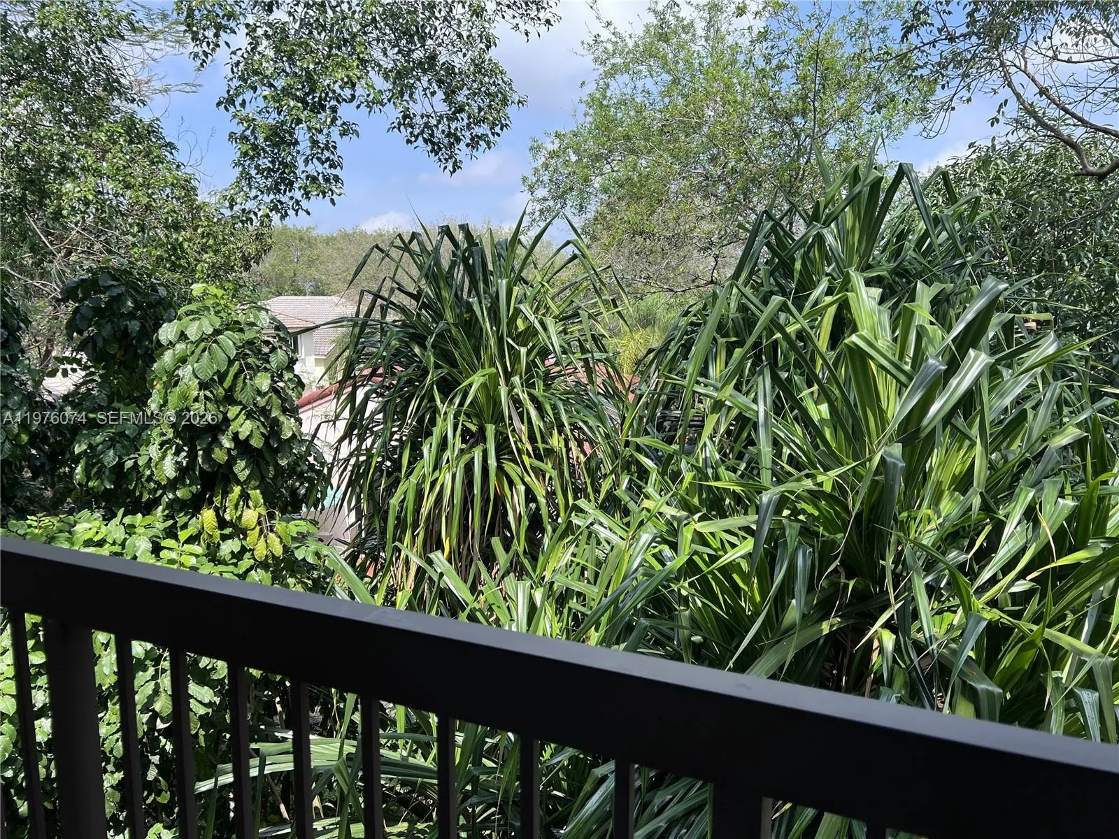 View from Balcony