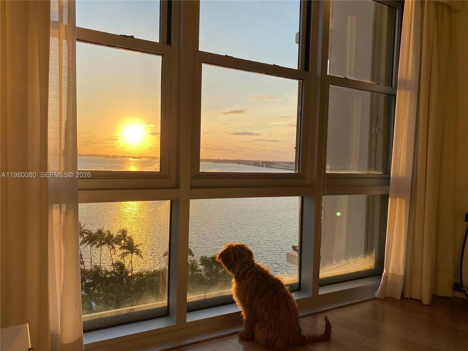 2451 Brickell Ave 11f, Miami, Florida 33129, Miami, Florida 33129, 1 Bedroom Bedrooms, ,1 BathroomBathrooms,Residential Lease,For Rent,2451 Brickell Ave 11f, Miami, Florida 33129,A11980080