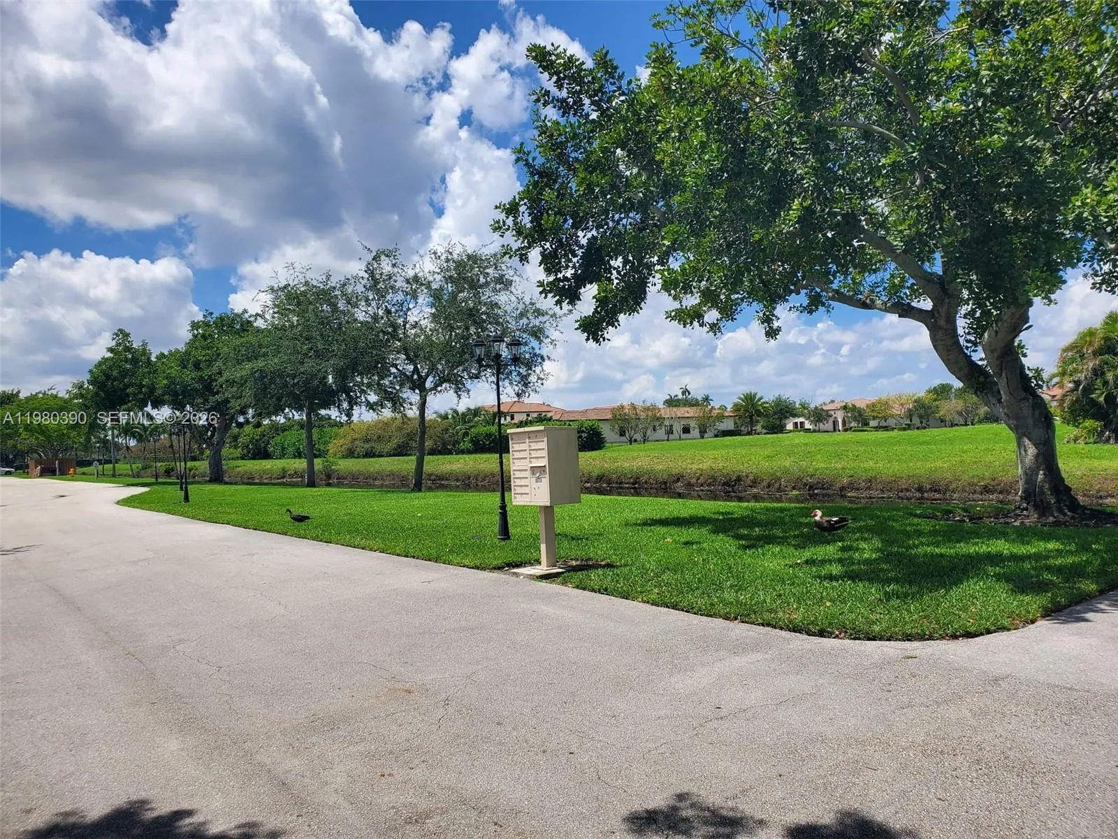 4206 Sw 87th Ter 4206, Davie, Florida 33328, Davie, Florida 33328, 2 Bedrooms Bedrooms, ,2 BathroomsBathrooms,Residential Lease,For Rent,4206 Sw 87th Ter 4206, Davie, Florida 33328,A11980390
