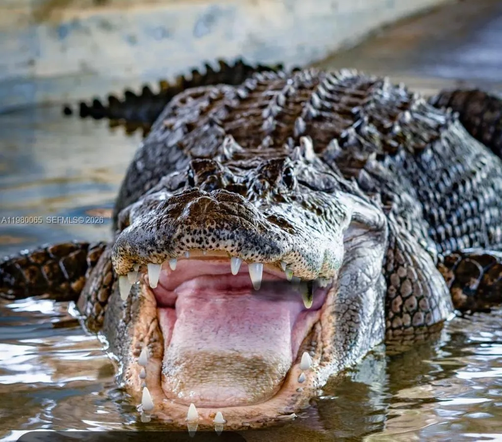 302 Nw 11th Ct 302, Florida City, Florida 33034, Florida City, Florida 33034, 5 Bedrooms Bedrooms, ,4 BathroomsBathrooms,Residential Lease,For Rent,302 Nw 11th Ct 302, Florida City, Florida 33034,A11980065