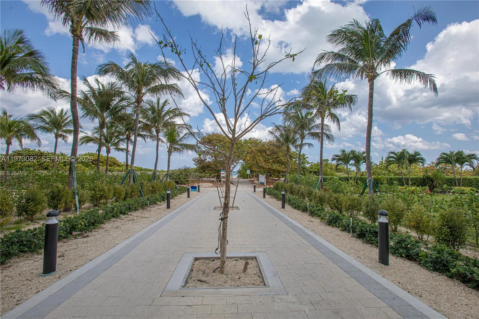 9172 Ne Collins Ave 312, Surfside, Florida 33154, Surfside, Florida 33154, 2 Bedrooms Bedrooms, ,2 BathroomsBathrooms,Residential Lease,For Rent,9172 Ne Collins Ave 312, Surfside, Florida 33154,A11973082