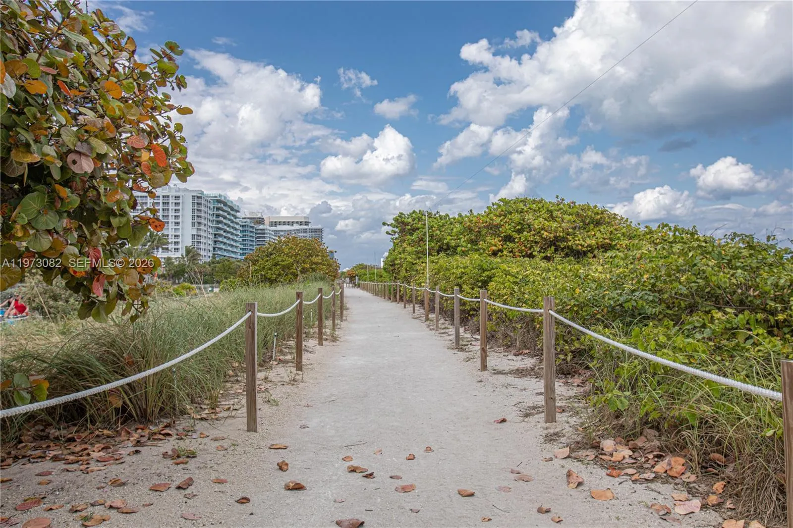 9172 Ne Collins Ave 312, Surfside, Florida 33154, Surfside, Florida 33154, 2 Bedrooms Bedrooms, ,2 BathroomsBathrooms,Residential Lease,For Rent,9172 Ne Collins Ave 312, Surfside, Florida 33154,A11973082