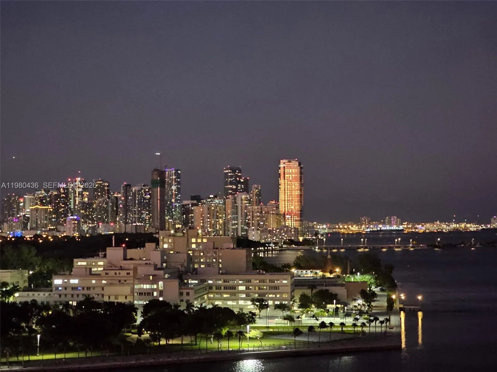 Night city skyline view
