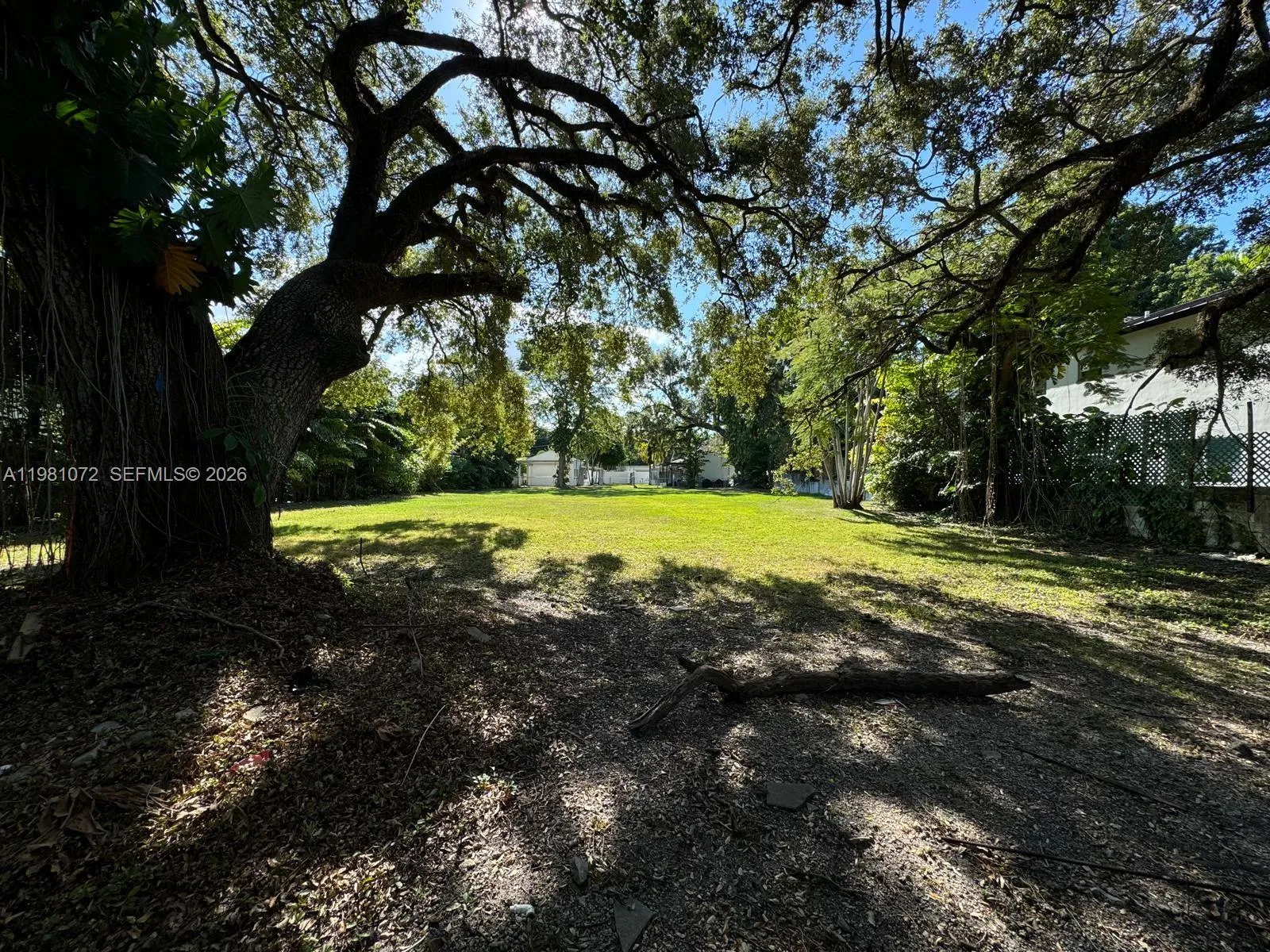 3528 Royal Palm Ave, Miami, Florida 33133, Miami, Florida 33133, ,Land,For Sale,3528 Royal Palm Ave, Miami, Florida 33133,A11981072