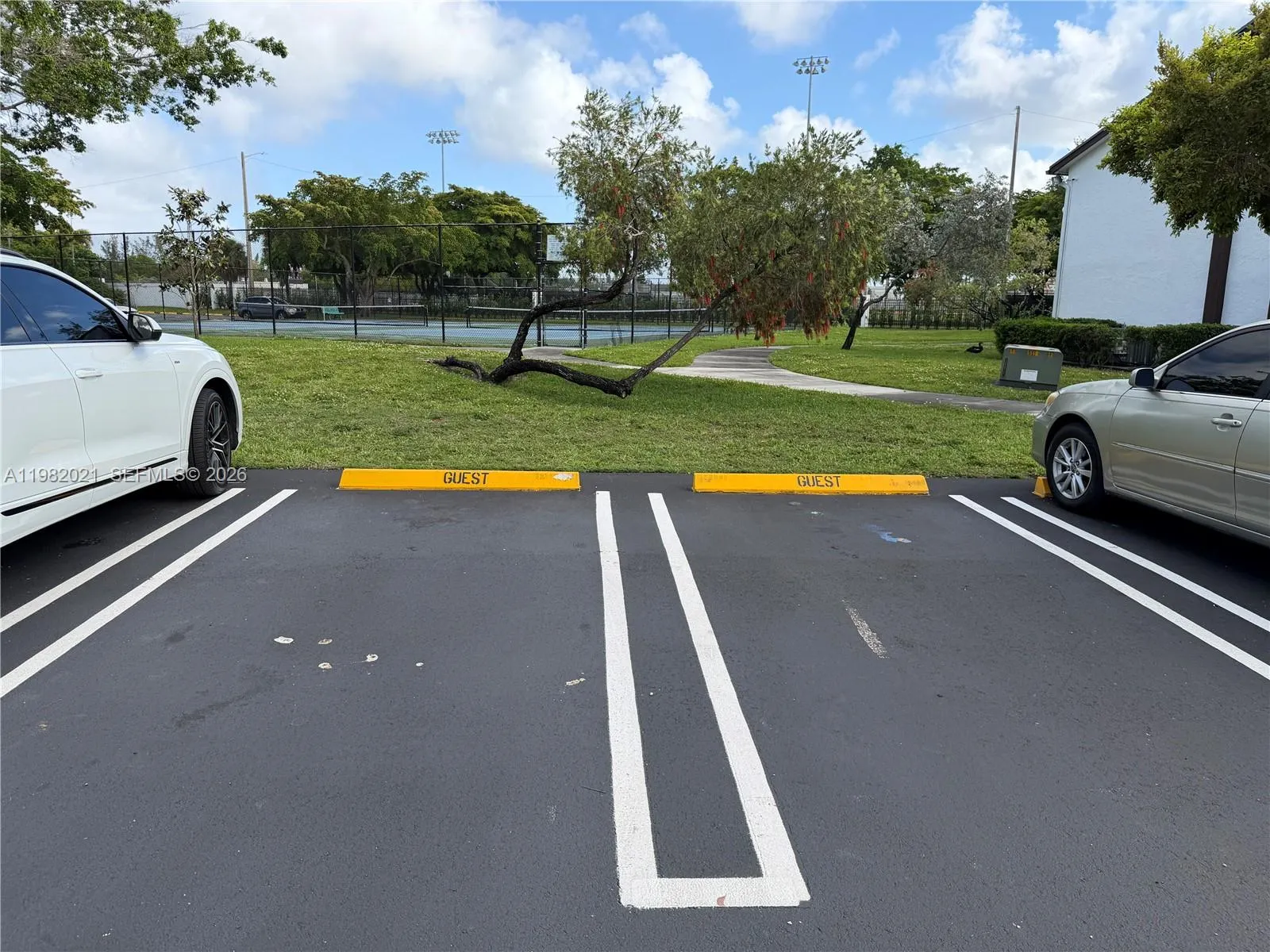 206 Lake Pointe Dr 206, Oakland Park, Florida 3330, Oakland Park, Florida 33309, 2 Bedrooms Bedrooms, ,2 BathroomsBathrooms,Residential Lease,For Rent,206 Lake Pointe Dr 206, Oakland Park, Florida 3330,A11982021