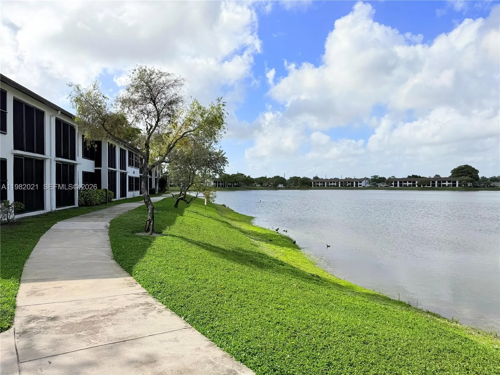 206 Lake Pointe Dr 206, Oakland Park, Florida 3330, Oakland Park, Florida 33309, 2 Bedrooms Bedrooms, ,2 BathroomsBathrooms,Residential Lease,For Rent,206 Lake Pointe Dr 206, Oakland Park, Florida 3330,A11982021