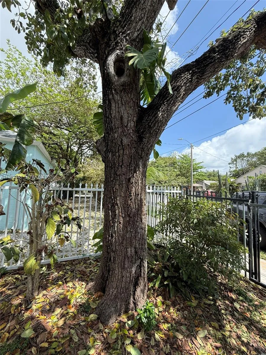 294 Ne 57th St, Miami, Florida 33137, Miami, Florida 33137, ,Residential Income,For Sale,294 Ne 57th St, Miami, Florida 33137,A11982195
