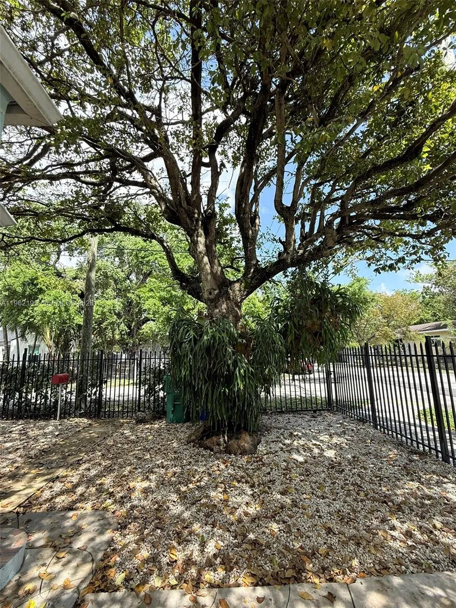 294 Ne 57th St, Miami, Florida 33137, Miami, Florida 33137, ,Residential Income,For Sale,294 Ne 57th St, Miami, Florida 33137,A11982195