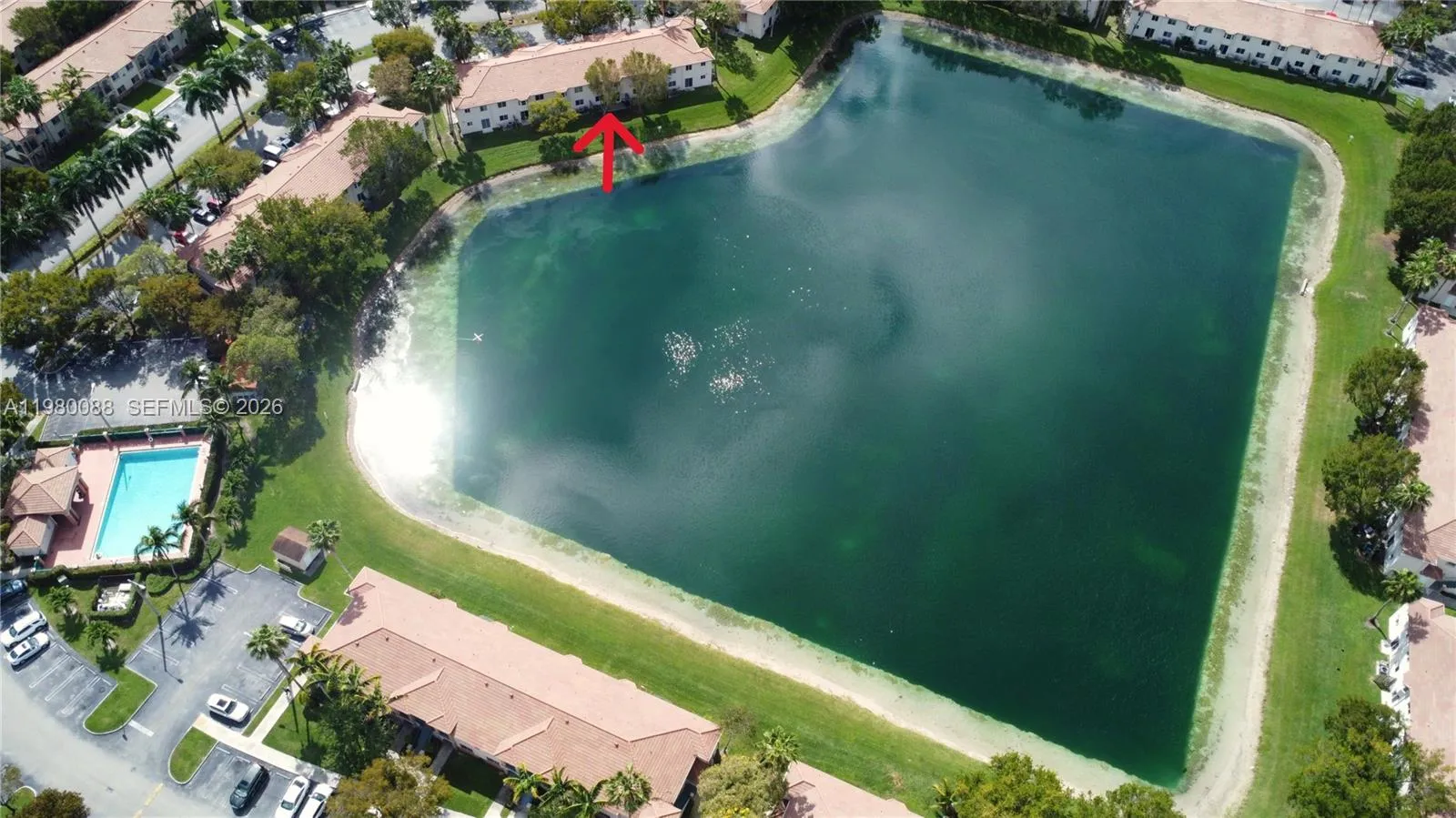 2920 Se 13th Ave 103-51, Homestead, Florida 33035, Homestead, Florida 33035, 2 Bedrooms Bedrooms, ,2 BathroomsBathrooms,Residential Lease,For Rent,2920 Se 13th Ave 103-51, Homestead, Florida 33035,A11980088