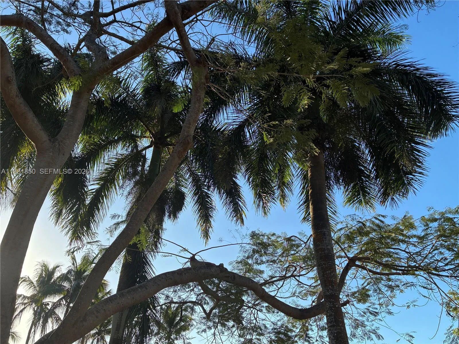 2757 Center Ct Dr 1-20, Weston, Florida 33332, Weston, Florida 33332, 3 Bedrooms Bedrooms, ,2 BathroomsBathrooms,Residential Lease,For Rent,2757 Center Ct Dr 1-20, Weston, Florida 33332,A11981850