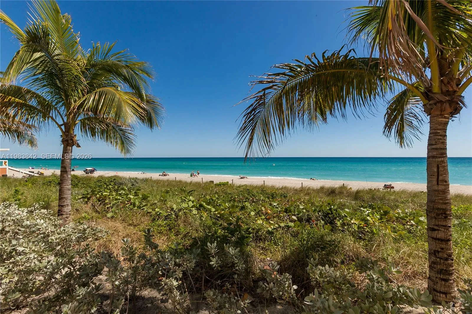 1800 S Ocean Dr 909, Hallandale Beach, Florida 330, Hallandale Beach, Florida 33009, 2 Bedrooms Bedrooms, ,1 BathroomBathrooms,Residential Lease,For Rent,1800 S Ocean Dr 909, Hallandale Beach, Florida 330,A11983842