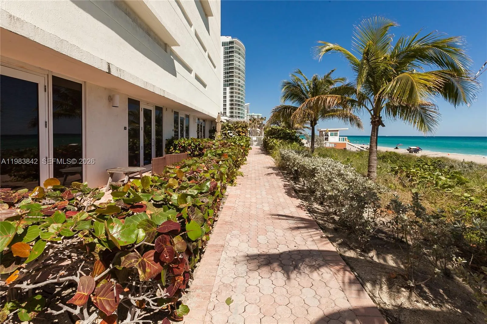 1800 S Ocean Dr 909, Hallandale Beach, Florida 330, Hallandale Beach, Florida 33009, 2 Bedrooms Bedrooms, ,1 BathroomBathrooms,Residential Lease,For Rent,1800 S Ocean Dr 909, Hallandale Beach, Florida 330,A11983842