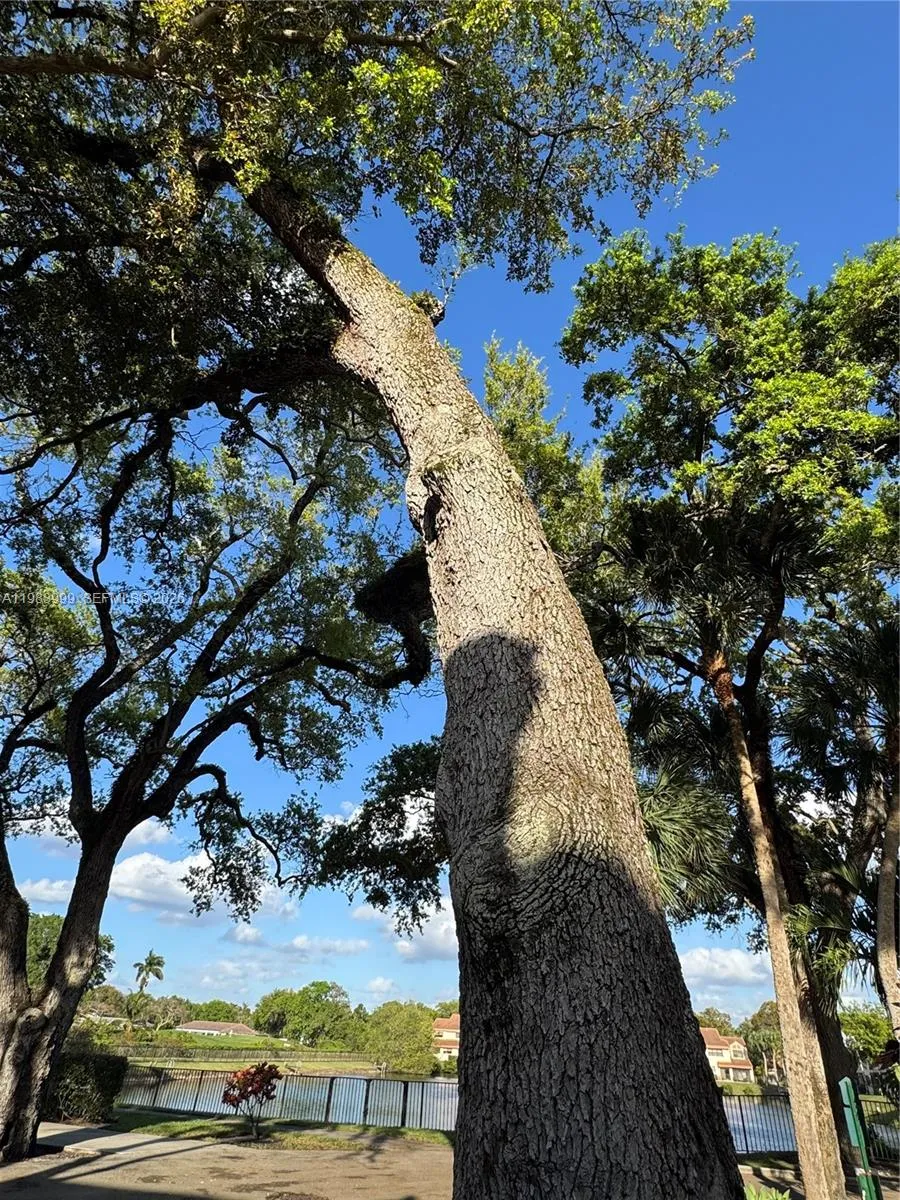 3212 Arbor Ln 2407, Hollywood, Florida 33021, Hollywood, Florida 33021, 3 Bedrooms Bedrooms, ,2 BathroomsBathrooms,Residential,For Sale,3212 Arbor Ln 2407, Hollywood, Florida 33021,A11983999