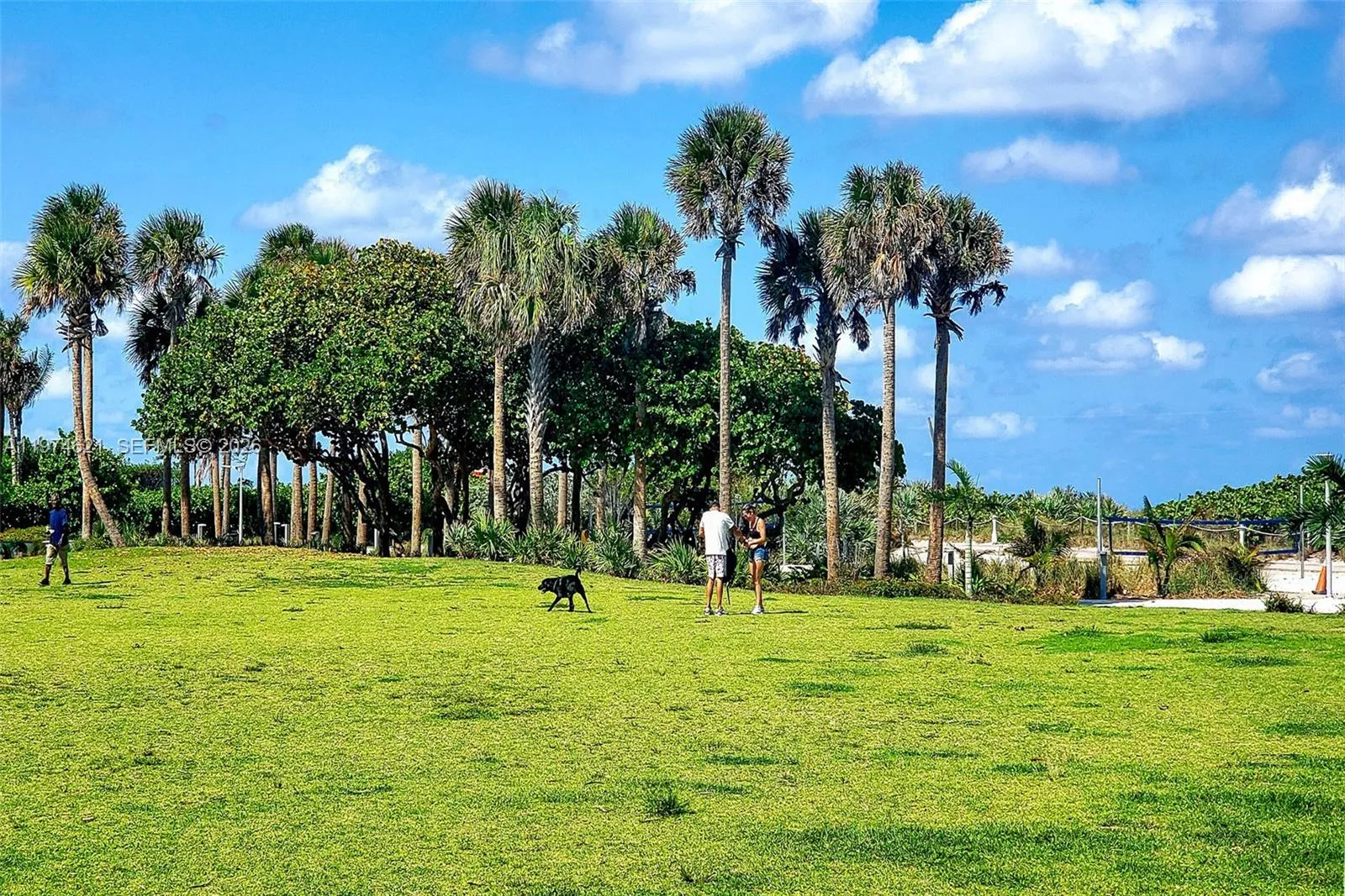 8430 Harding Ave 3, Miami Beach, Florida 33141, Miami Beach, Florida 33141, 1 Bedroom Bedrooms, ,1 BathroomBathrooms,Residential Lease,For Rent,8430 Harding Ave 3, Miami Beach, Florida 33141,A11974621