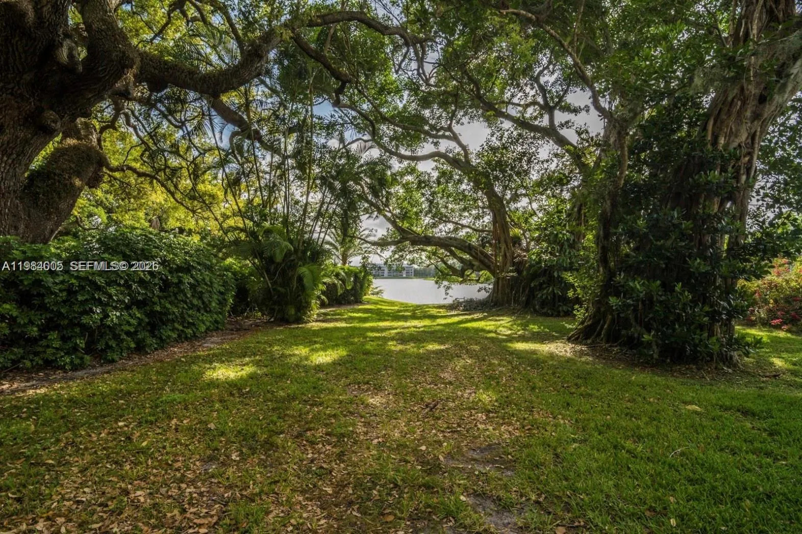 9430 Live Oak Pl 407, Davie, Florida 33324, Davie, Florida 33324, 1 Bedroom Bedrooms, ,1 BathroomBathrooms,Residential,For Sale,9430 Live Oak Pl 407, Davie, Florida 33324,A11984005