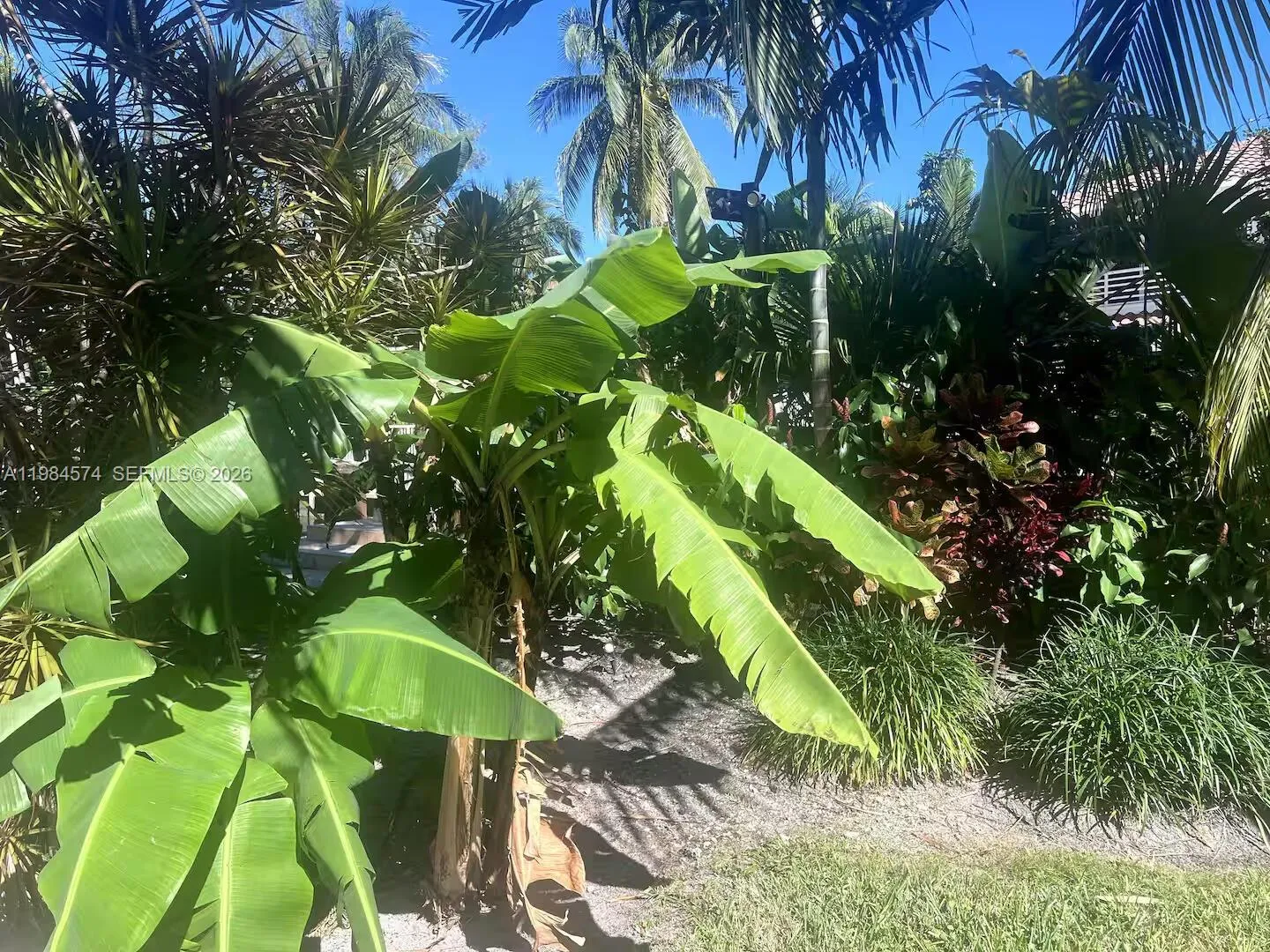 3401 Ne 165th St, North Miami Beach, Florida 33160, North Miami Beach, Florida 33160, 6 Bedrooms Bedrooms, ,5 BathroomsBathrooms,Residential Lease,For Rent,3401 Ne 165th St, North Miami Beach, Florida 33160,A11984574