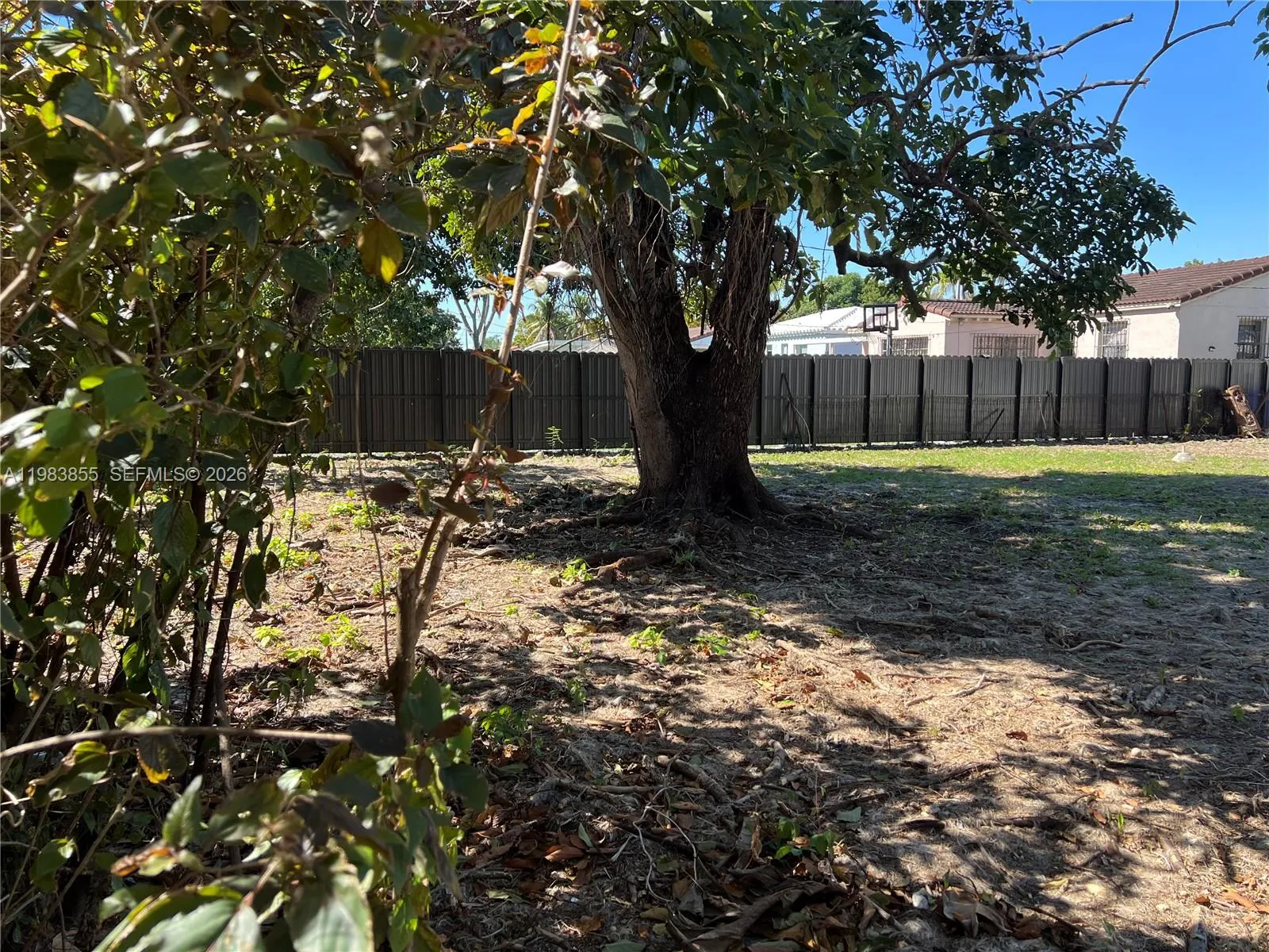 Big Yard