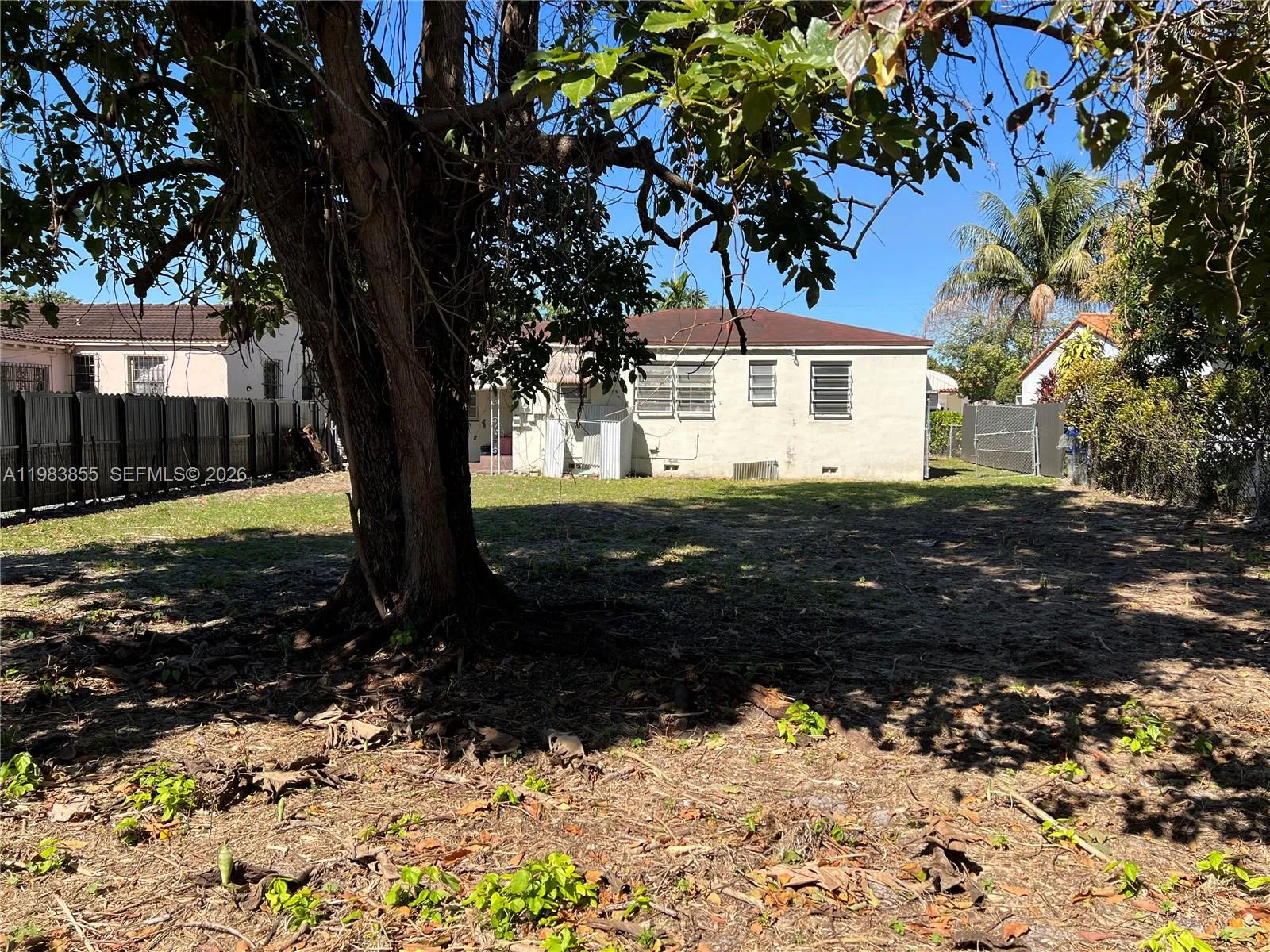 Big Yard
