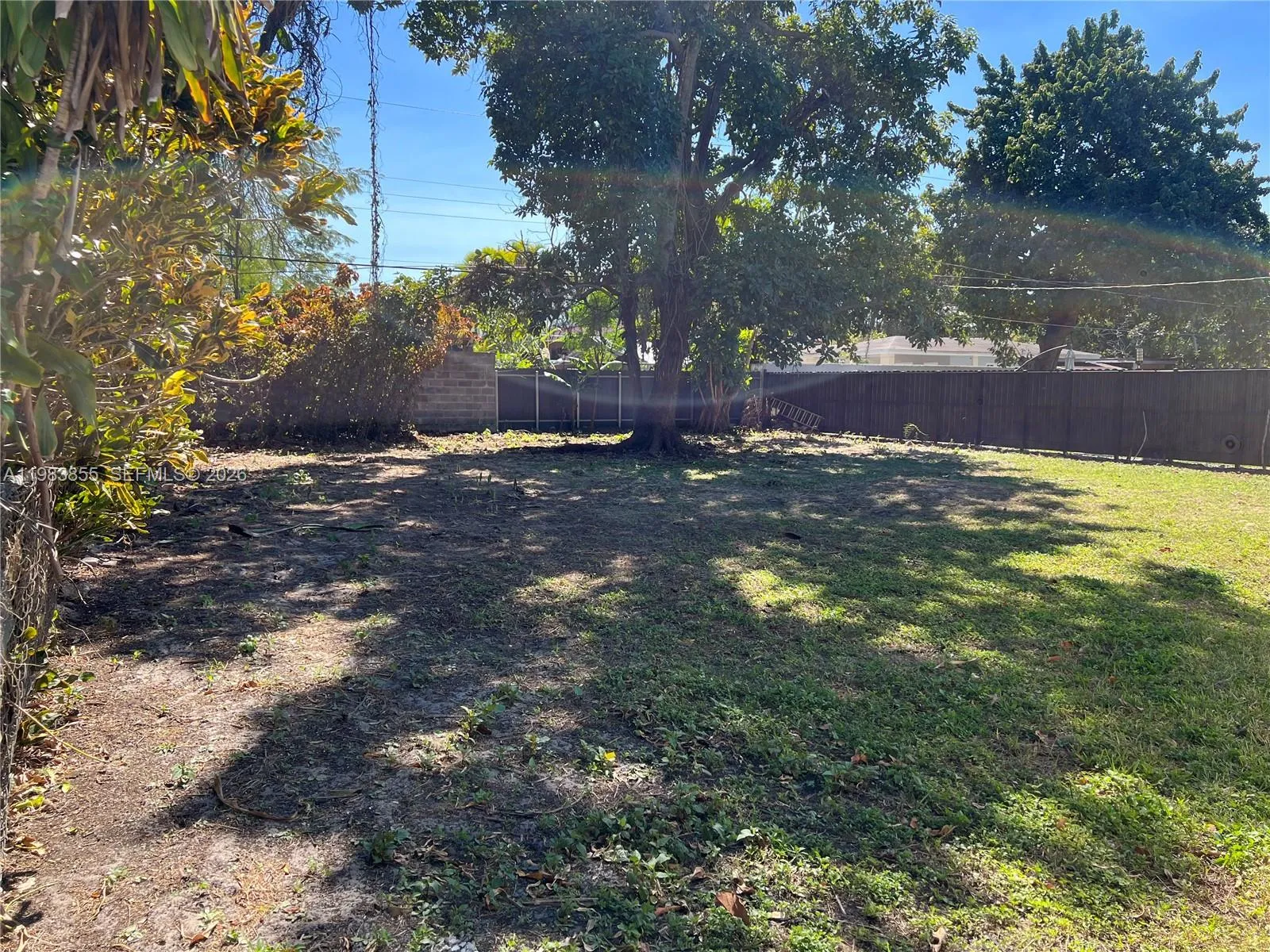 Big Yard