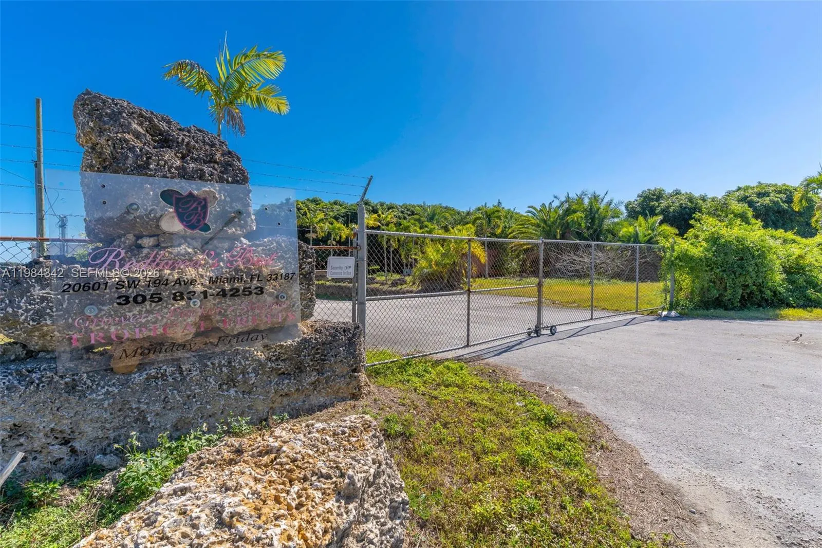 ENTRANCE CURRENTLY TUR PRODUCE