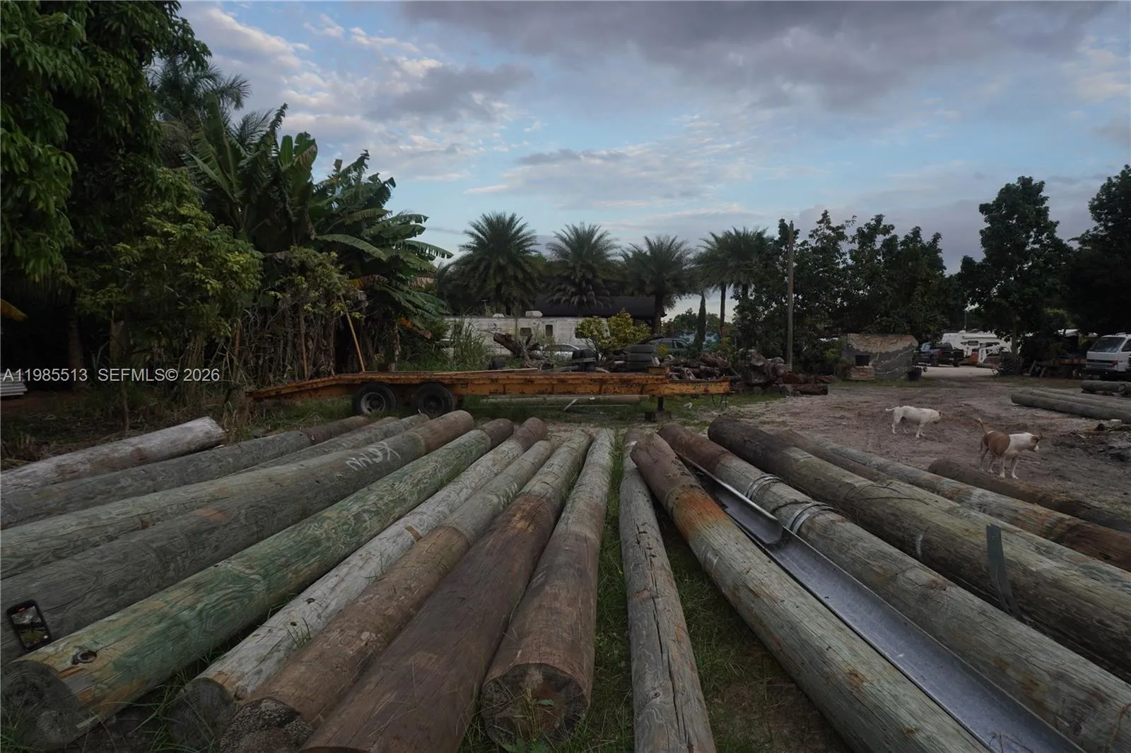 15375 Sw 209 Ave, Miami, Florida 33187, Miami, Florida 33187, ,Land,For Sale,15375 Sw 209 Ave, Miami, Florida 33187,A11985513