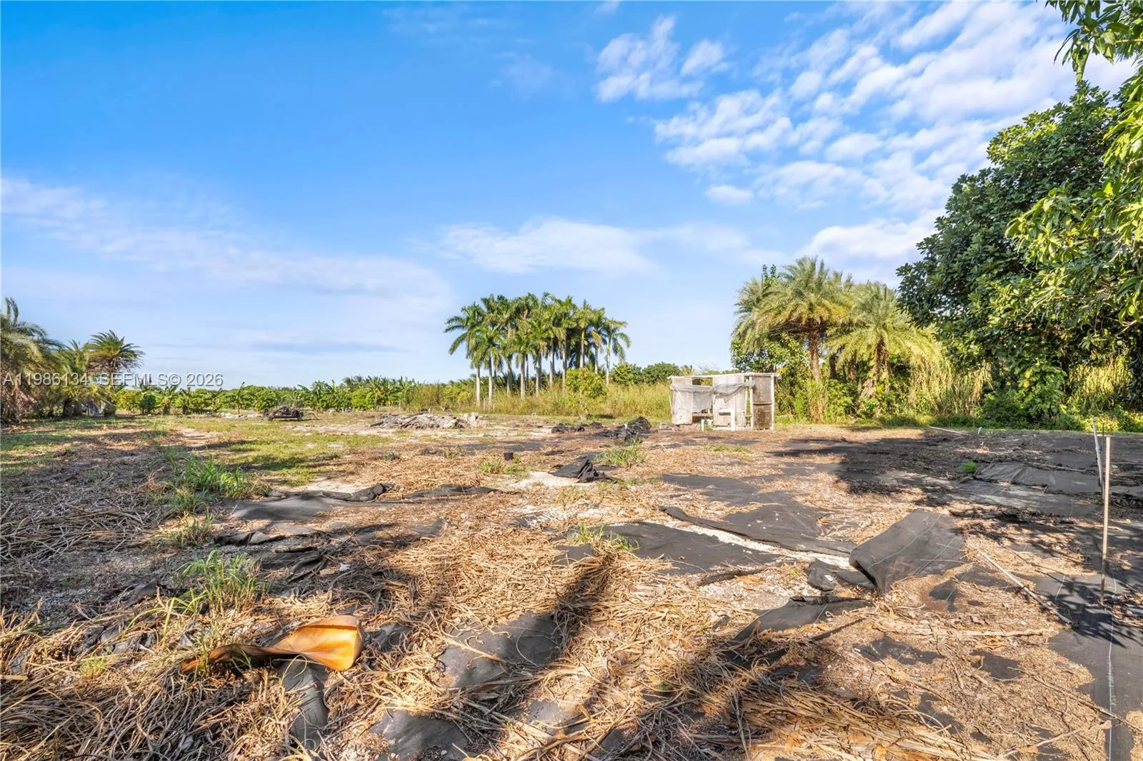 31500 Sw 207th Ave, Homestead, Florida 33030, Homestead, Florida 33030, ,Land,For Sale,31500 Sw 207th Ave, Homestead, Florida 33030,A11986134