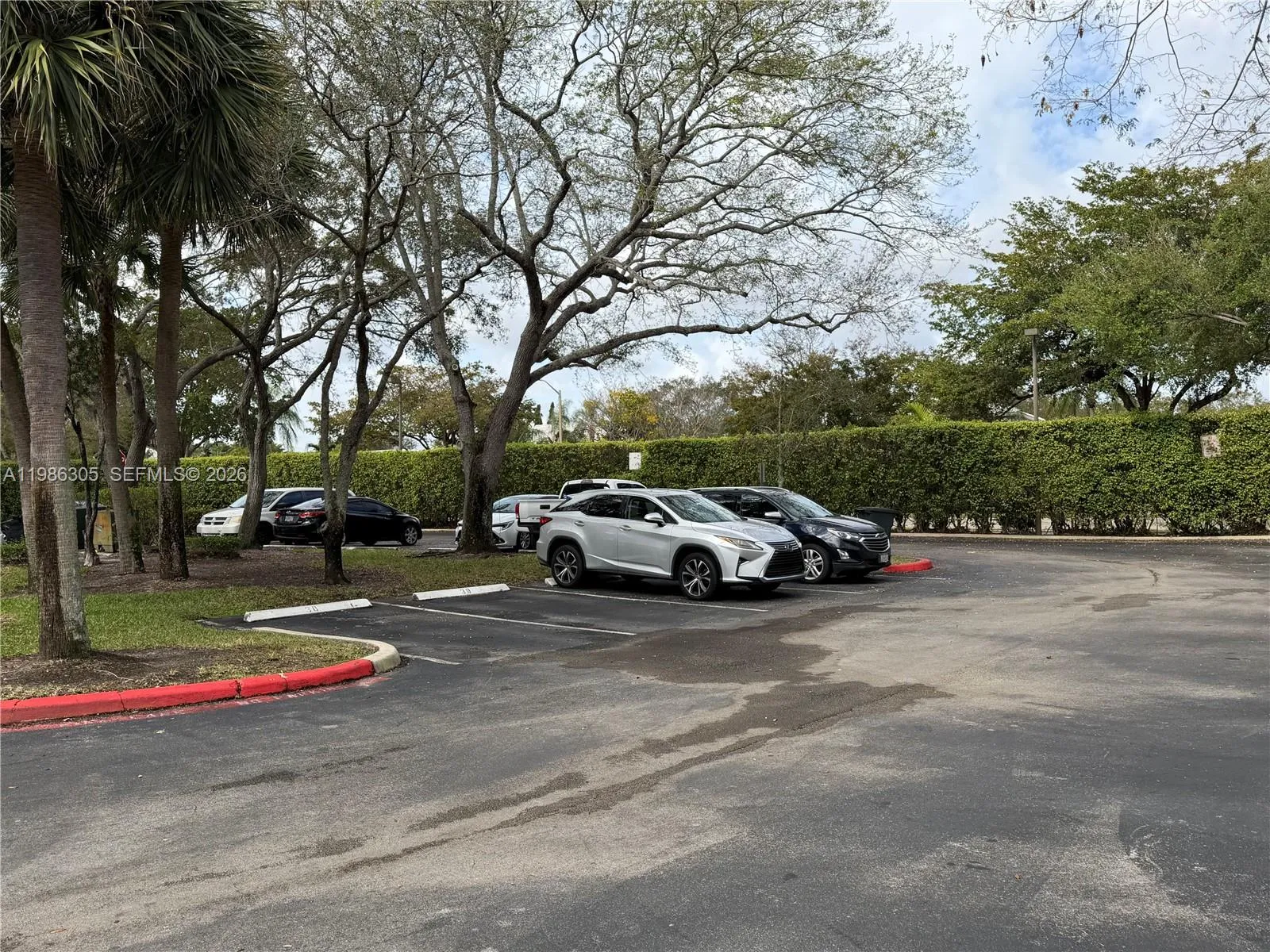 882 Nw 92nd Ave 882, Plantation, Florida 33324, Plantation, Florida 33324, 1 Bedroom Bedrooms, ,1 BathroomBathrooms,Residential Lease,For Rent,882 Nw 92nd Ave 882, Plantation, Florida 33324,A11986305