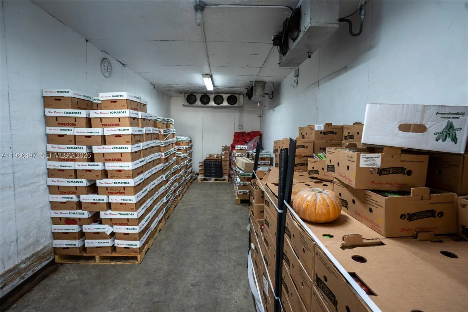 2151 Nw 13th Ave 30, Miami, Florida 33142, Miami, Florida 33142, ,Commercial Lease,For Rent,2151 Nw 13th Ave 30, Miami, Florida 33142,A11986497