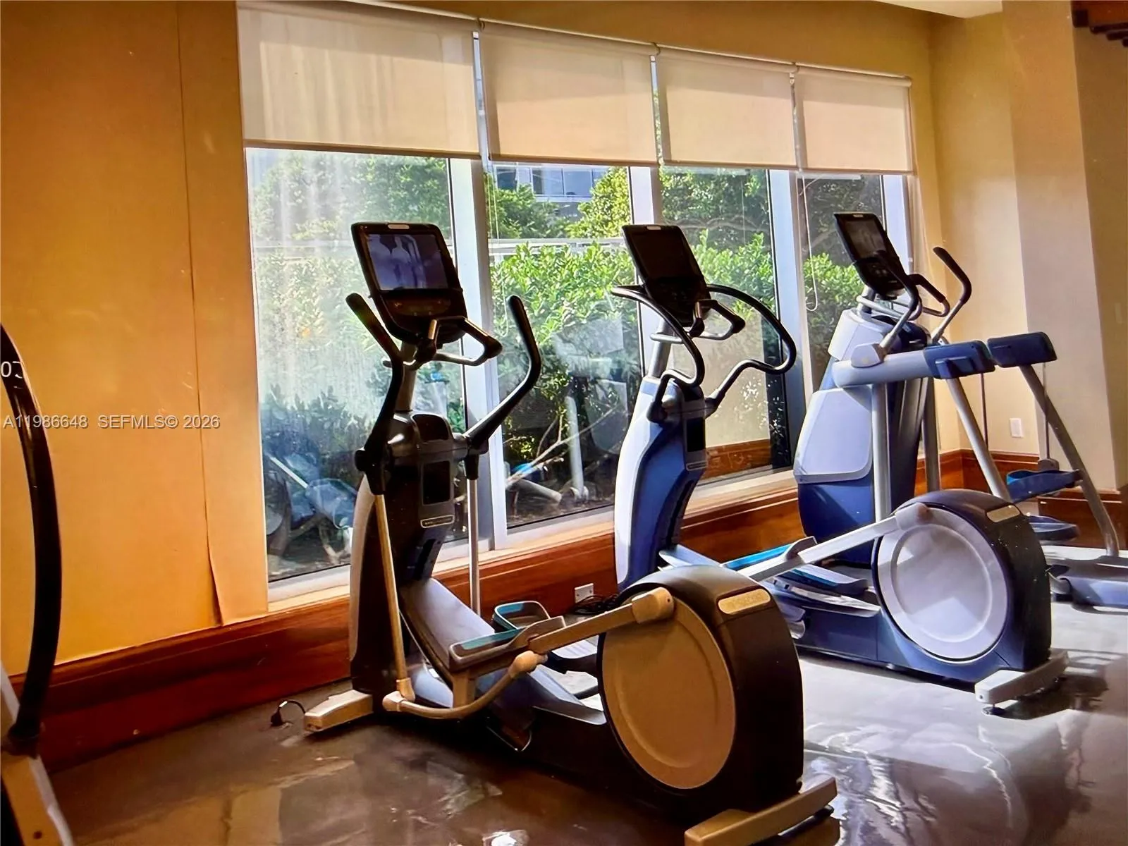 1050 Brickell Ave 2102, Miami, Florida 33131, Miami, Florida 33131, 1 Bedroom Bedrooms, ,1 BathroomBathrooms,Residential Lease,For Rent,1050 Brickell Ave 2102, Miami, Florida 33131,A11986648