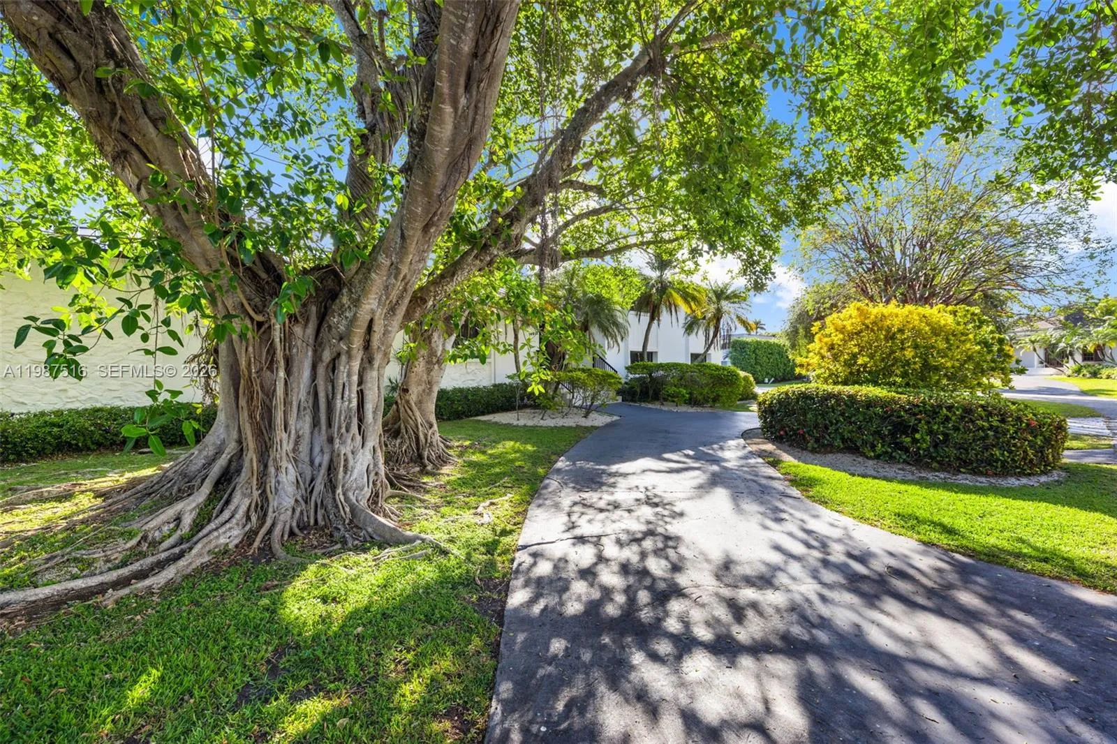 14615 Sw 77th Ct 0, Palmetto Bay, Florida 33158, Palmetto Bay, Florida 33158, 5 Bedrooms Bedrooms, ,4 BathroomsBathrooms,Residential Lease,For Rent,14615 Sw 77th Ct 0, Palmetto Bay, Florida 33158,A11987516