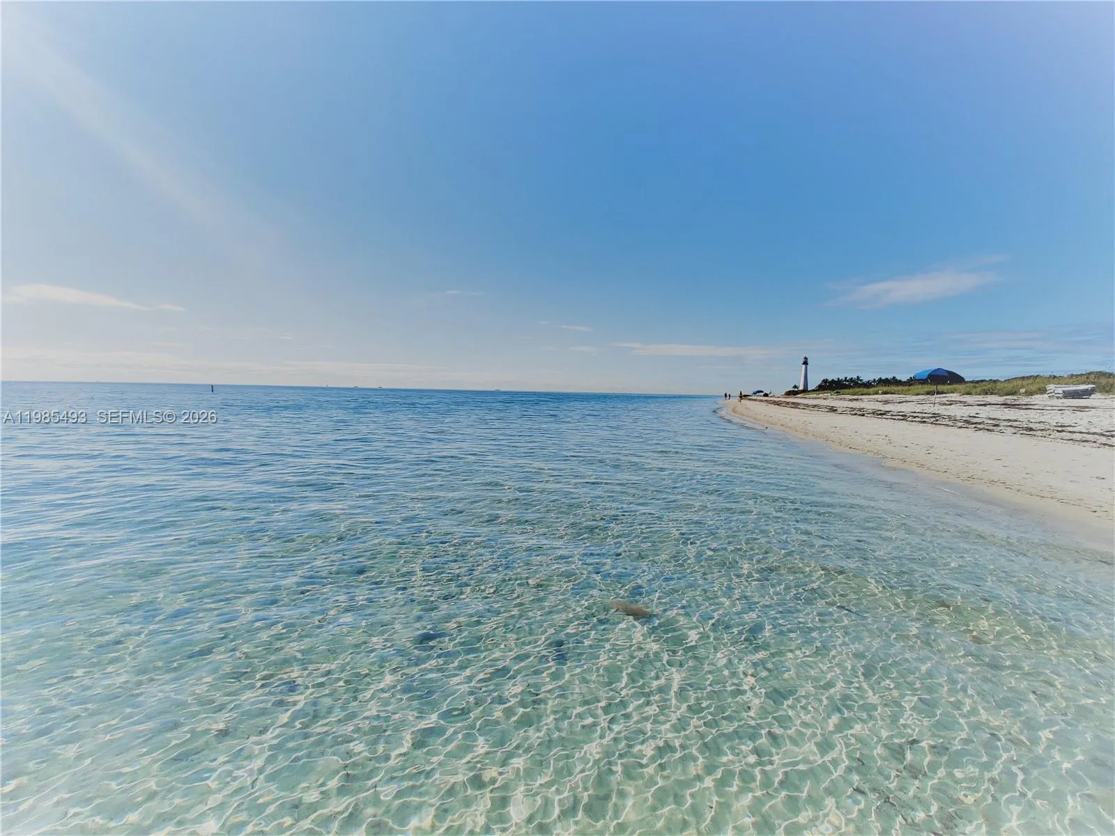 1111 Crandon Blvd A405, Key Biscayne, Florida 3314, Key Biscayne, Florida 33149, 2 Bedrooms Bedrooms, ,2 BathroomsBathrooms,Residential,For Sale,1111 Crandon Blvd A405, Key Biscayne, Florida 3314,A11985493