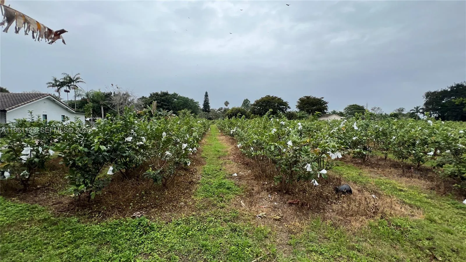 Unincorporated Dade, Florida 33187, ,Land,For Sale,A11961133