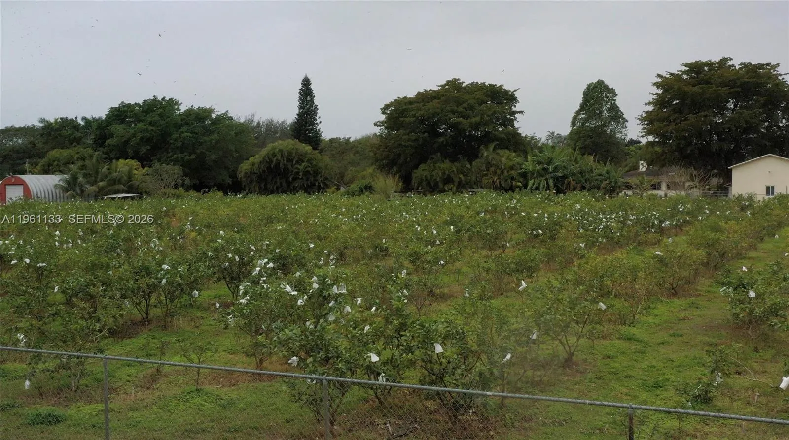 Unincorporated Dade, Florida 33187, ,Land,For Sale,A11961133