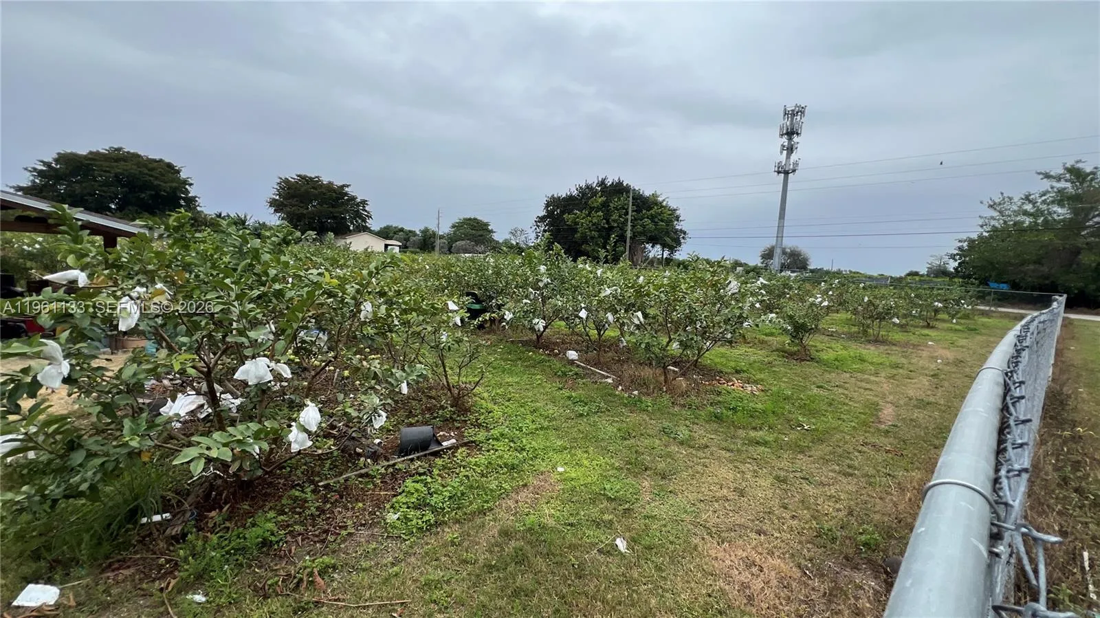 Unincorporated Dade, Florida 33187, ,Land,For Sale,A11961133
