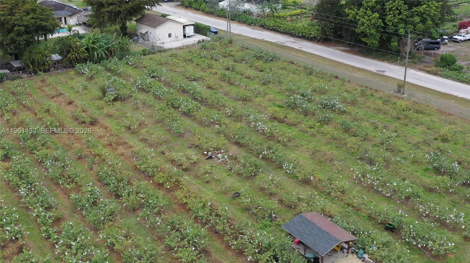 Unincorporated Dade, Florida 33187, ,Land,For Sale,A11961133