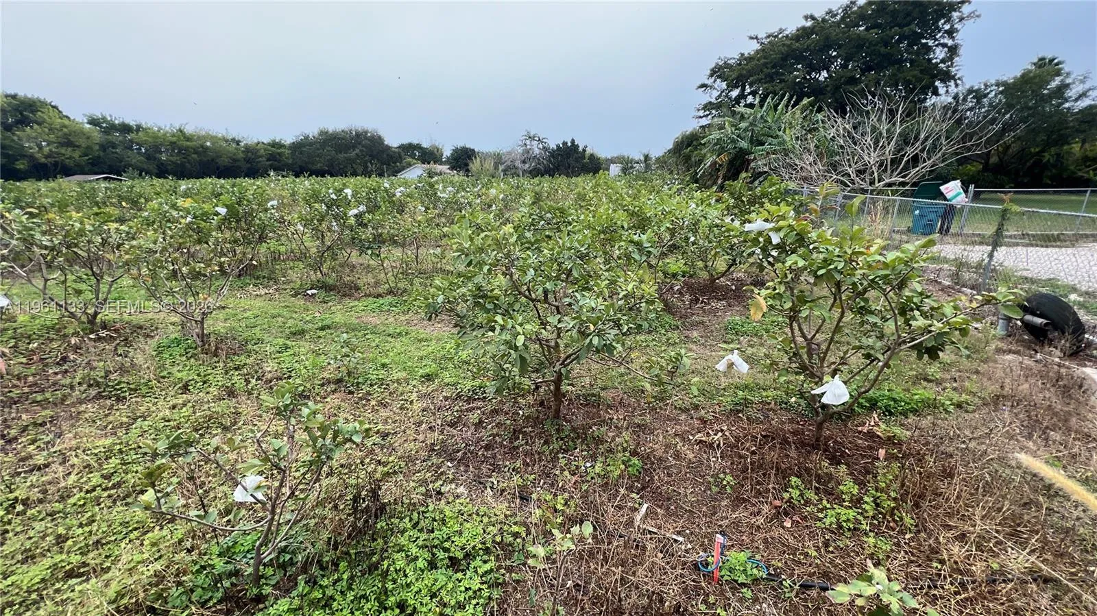 Unincorporated Dade, Florida 33187, ,Land,For Sale,A11961133