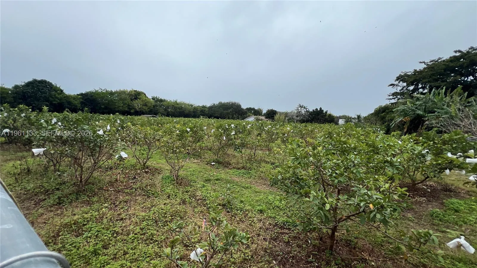 Unincorporated Dade, Florida 33187, ,Land,For Sale,A11961133