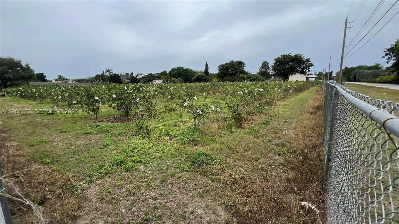 Unincorporated Dade, Florida 33187, ,Land,For Sale,A11961133