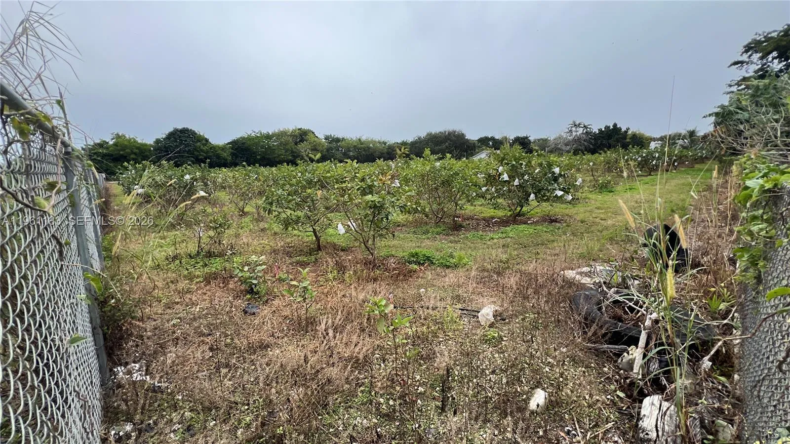 Unincorporated Dade, Florida 33187, ,Land,For Sale,A11961133