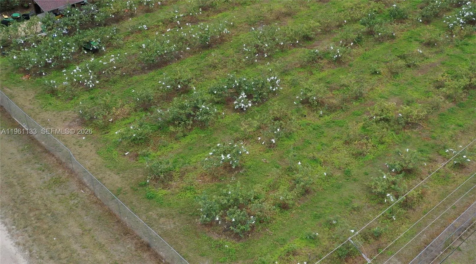 Unincorporated Dade, Florida 33187, ,Land,For Sale,A11961133