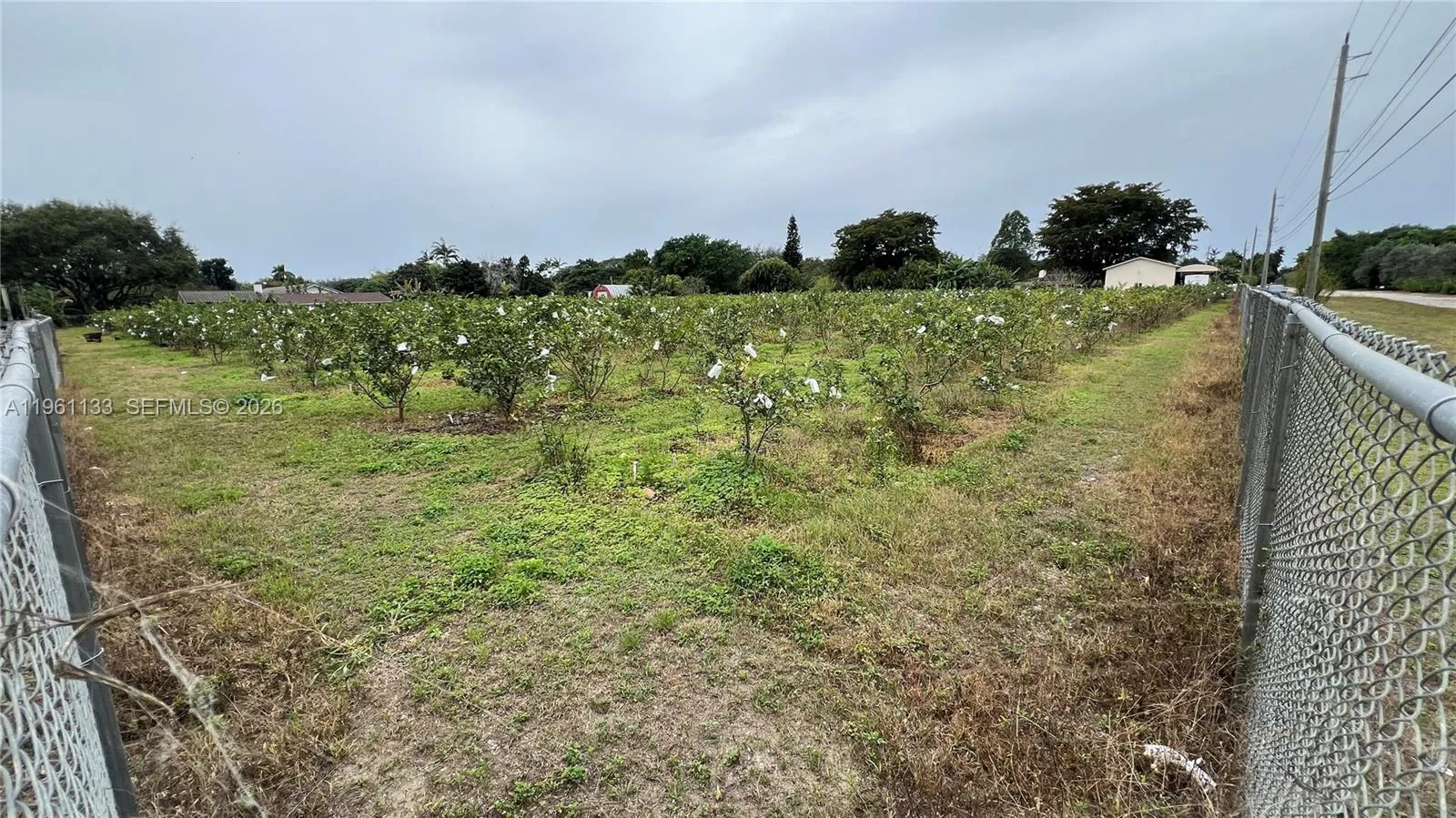 Unincorporated Dade, Florida 33187, ,Land,For Sale,A11961133