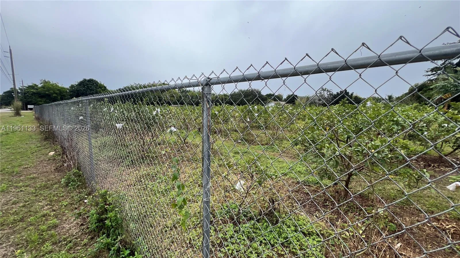 Unincorporated Dade, Florida 33187, ,Land,For Sale,A11961133