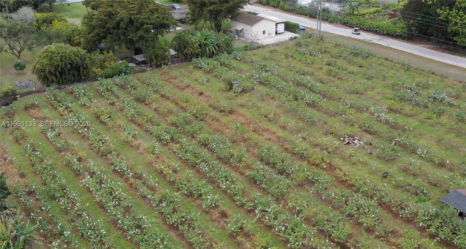 Unincorporated Dade, Florida 33187, ,Land,For Sale,A11961133