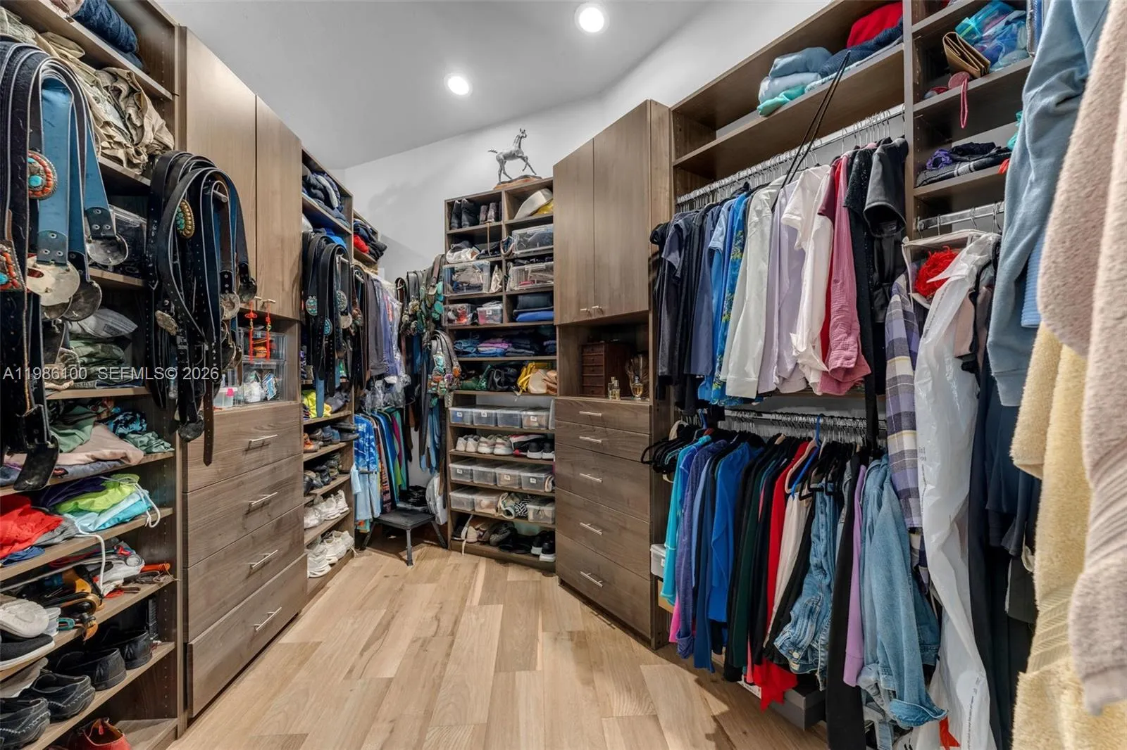 WELL APPOINTED CLOSET
