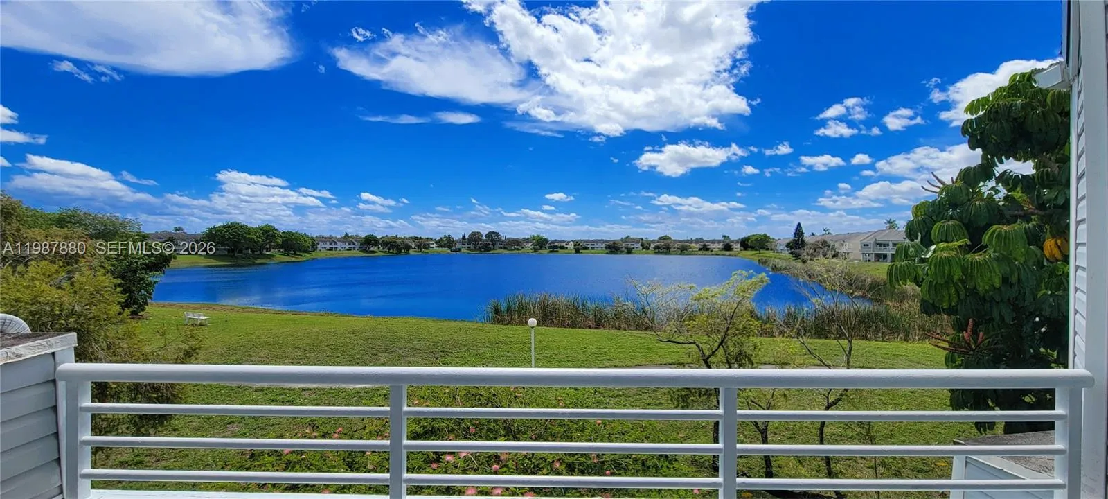 3445 Nw 44th St 204, Oakland Park, Florida 33309, Oakland Park, Florida 33309, 2 Bedrooms Bedrooms, ,2 BathroomsBathrooms,Residential Lease,For Rent,3445 Nw 44th St 204, Oakland Park, Florida 33309,A11987880 3445 Nw 44th St 204, Oakland Park, Florida 33309, Oakland Park, Florida 33309, 2 Bedrooms Bedrooms, ,2 BathroomsBathrooms,Residential Lease,For Rent,3445 Nw 44th St 204, Oakland Park, Florida 33309,A11987880